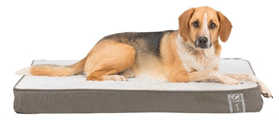 Honden Slapen - Orthopedische bedden