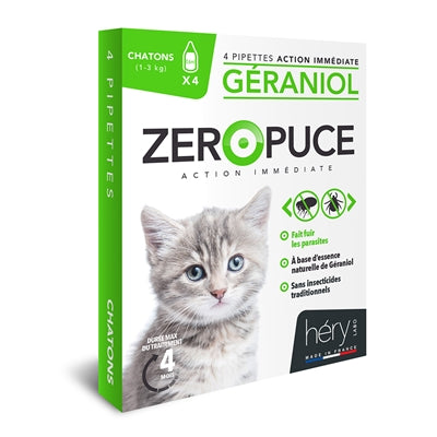 Kitten Verzorging