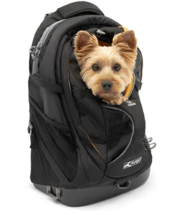 Honden Transport - Reistassen