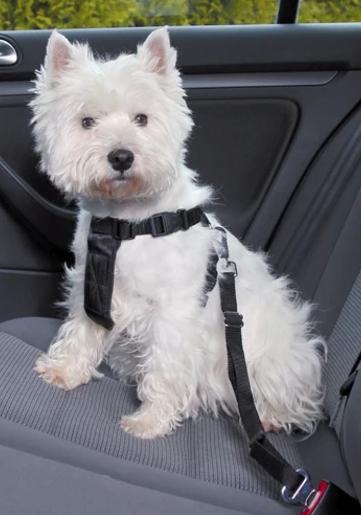 Honden Transport - Overige accessoires